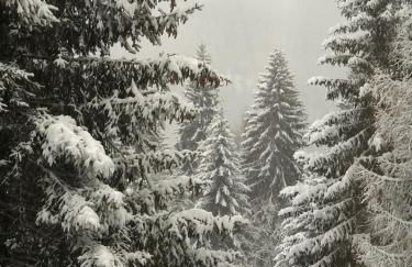 Casa i Larici del Brenta - Foto 44
