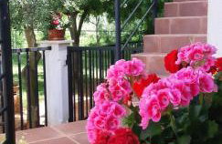 Apartment Ankica - Photo 2