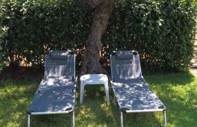 Olive Harmony House - Foto 32