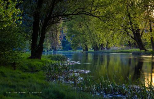 House Forest with HOT TUB - Foto 56