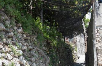 TRA... INCANTO E NATURA - Foto 6