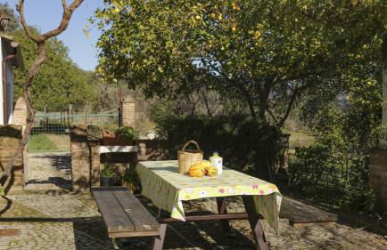 Finca Ecológica Morera - Foto 17