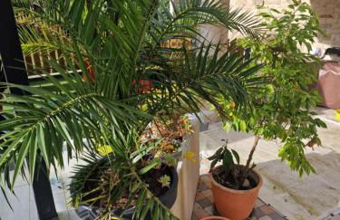 La chaume du marais poitevin avec barque green venice with boat - Foto 26