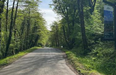 Ty Pentref - Cwmcarn Village House - Foto 41