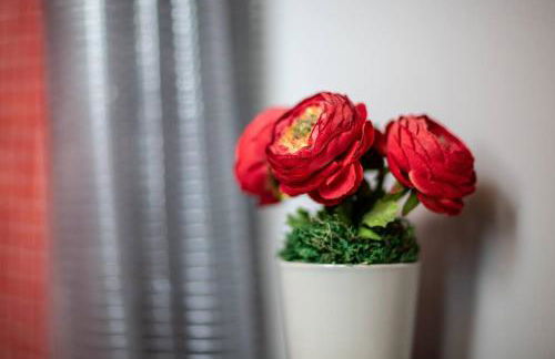 New Distinctive Historical Unit from 5 Star Host - Foto 30