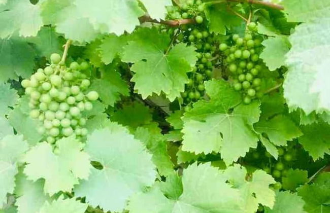 Beachfront Retreat With Panoramic Views Of The Bay - Foto 19