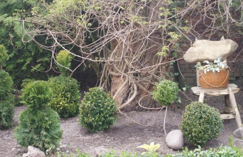 Holiday Home Ruhe am Meer - Ferienhäuser in den Gärten von Magra by Interhome - Foto 14