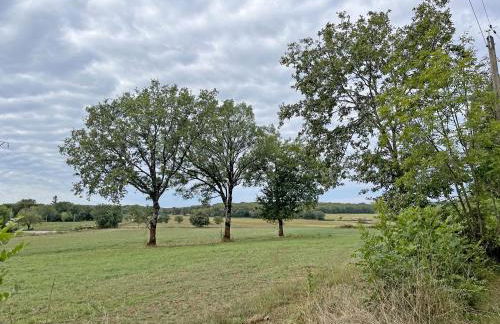 Grand gite & petit gite - Photo 16