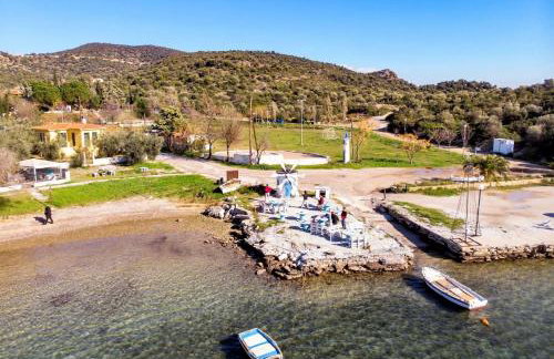 Alexander's - Foto 32