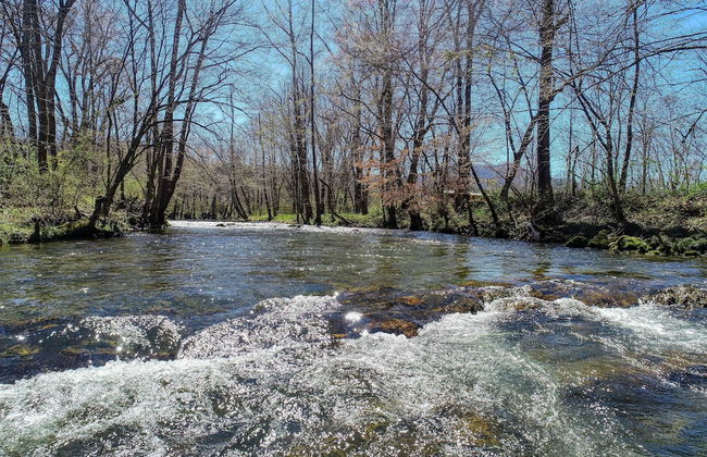 Creekside Memories - 2 Bedrooms, 2 Baths, Sleeps 6 Cabin by RedAwning - Foto 1