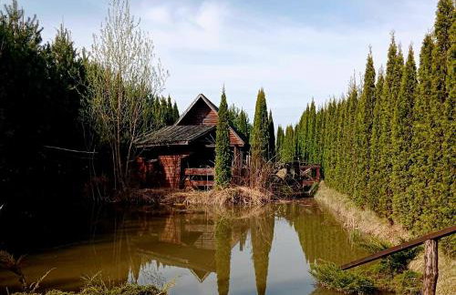 Dwór Na Otulinie - Foto 10