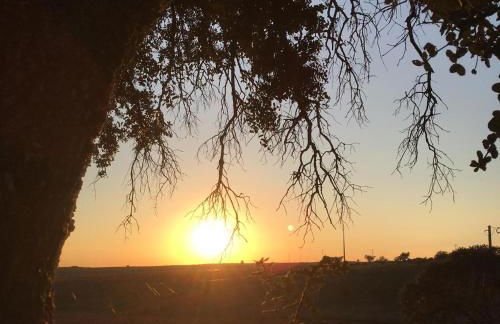 Monte da Figueira - Foto 43