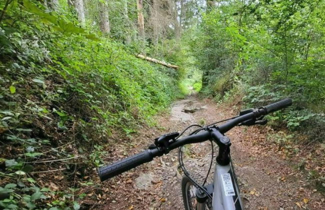 Holiday Home in Somme Leuze for 7 Person - Foto 33