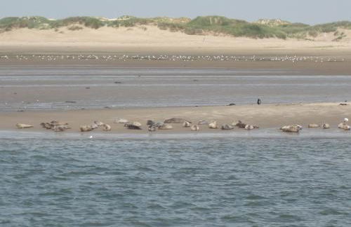 Studio mit Meerblick auf die Robbenbänke von Norderney, geschützter Südwestbalkon - Foto 27