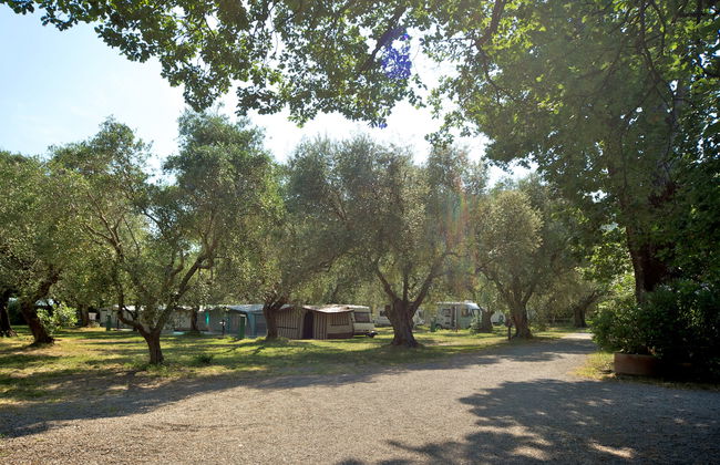 Camping Village Il Fontino - Foto 19