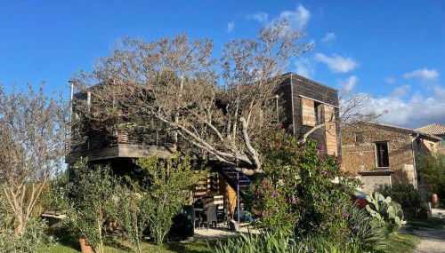 campdebaseventoux, vue sur le ventoux insolite - Photo 5