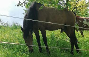 Kuća za odmor Jadra - Foto 64