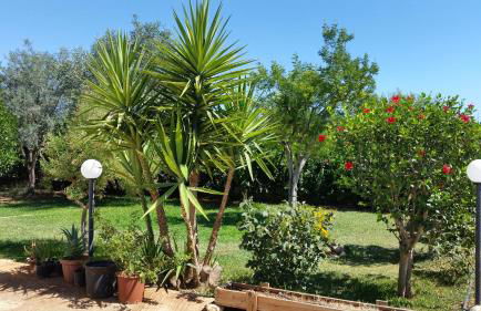 Villa Cristina - Foto 33