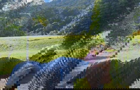 Nimbin Waterfall Retreat - Photo 27