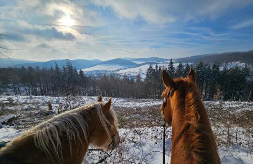 Ferienwohnung zum Märchenwald - Foto 37