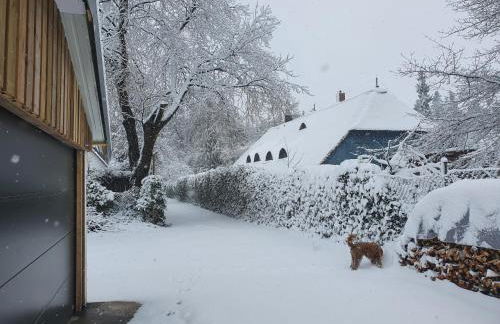 Haus Gutland - Foto 31