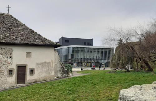 CHARMANT APPARTEMENT à 150 M des THERMES et du CENTRE VILLE - Foto 34