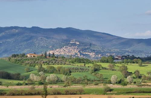 Villa Vignacce - Boutique Country Resort - Photo 49