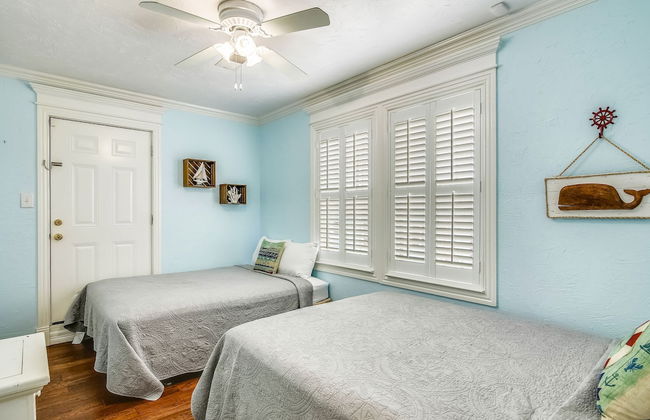 The Turquoise Turtle - Foto 8