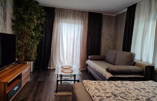 Ferienwohnung Rhein-Main II - Foto 20