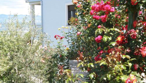 Villa Roze - Photo 2, Garden