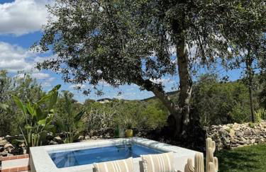 Casa Nova Vida - Foto 4