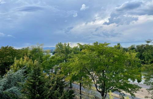 River Main I Taunus View I Workplace I Kitchen - Foto 16