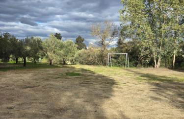 Finca El Palmar - Foto 28