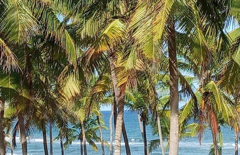 Areia Azul Aparts Brazil - Imbassai Ykutiba - Foto 39