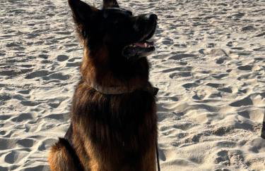 Apartamenty nad morzem Przy Klifie 2 Dębina - Foto 66