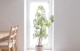 La Casetta sul Lago - Foto 8