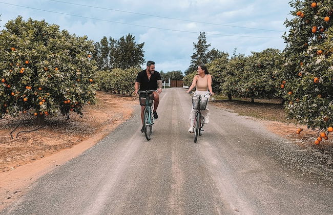 Quinta dos Perfumes - Photo 51