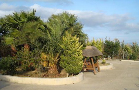 Villa Lagosta - Foto 19