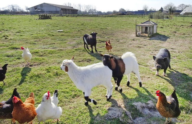 Semi Detached House, Bacilly - Foto 8