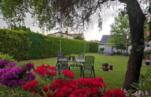 Comfortable Apartment near Insel Poel - Foto 32