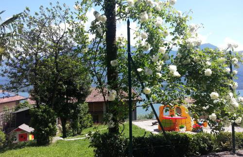 Il Giardino Di Lory - Foto 50