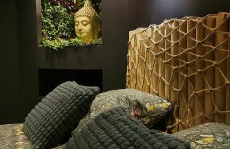 Jungle Room Strasbourg - Évasion Tropicale - Sauna Jacuzzi Balnéo - Foto 1