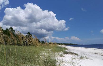 Old Carrabelle Hotel Hemingway Suite - Foto 17