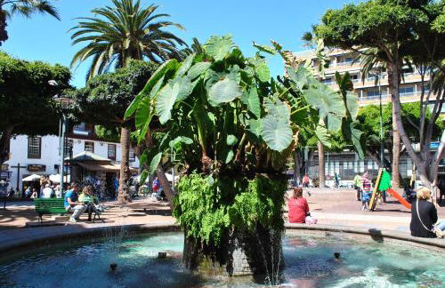 Durazno Tropical Apartment Puerto de la Cruz - Foto 30