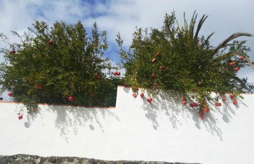 Casitas Rosheli - Foto 38