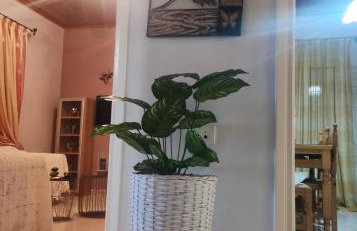 Sun N Sand - Foto 19