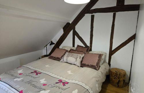 La Bretonnerie Luxury villa with pool & jacuzzi in a equestrian estate - Photo 21