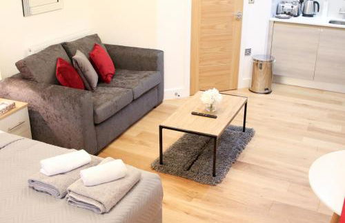 Executive Bright and Airy Studio Apartment in Sydenham - Foto 6