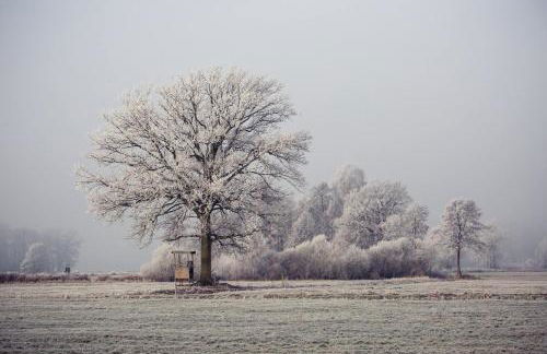 MCDreyer Ferienwohnung - Foto 50