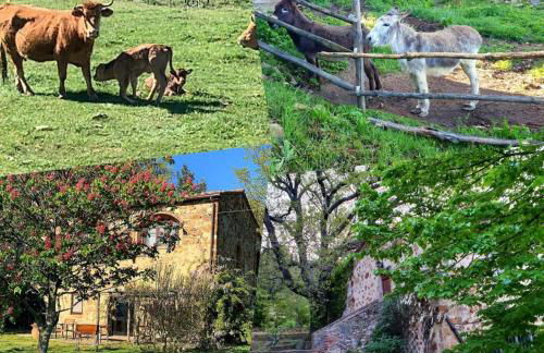 Podere Bellavista - Foto 6